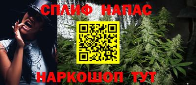 гидра Донецк