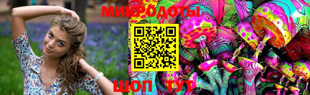 Псилоцибиновые грибы GOLDEN TEACHER  где купить наркоту  Камышин  Вход с VPN 
