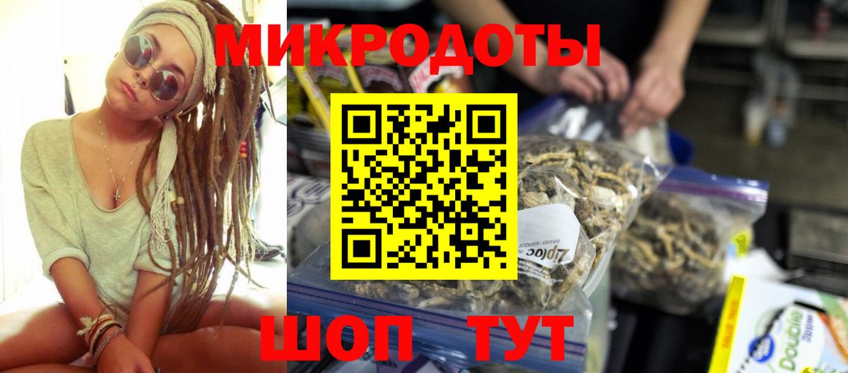 Галлюциногенные грибы Psilocybine cubensis Камышин