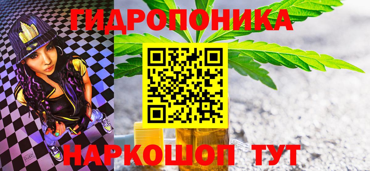 Камышин  Бошки Шишки план  Марихуана AK-47  Вход с VPN  Бошки марихуана VHQ  Канабис гибрид 